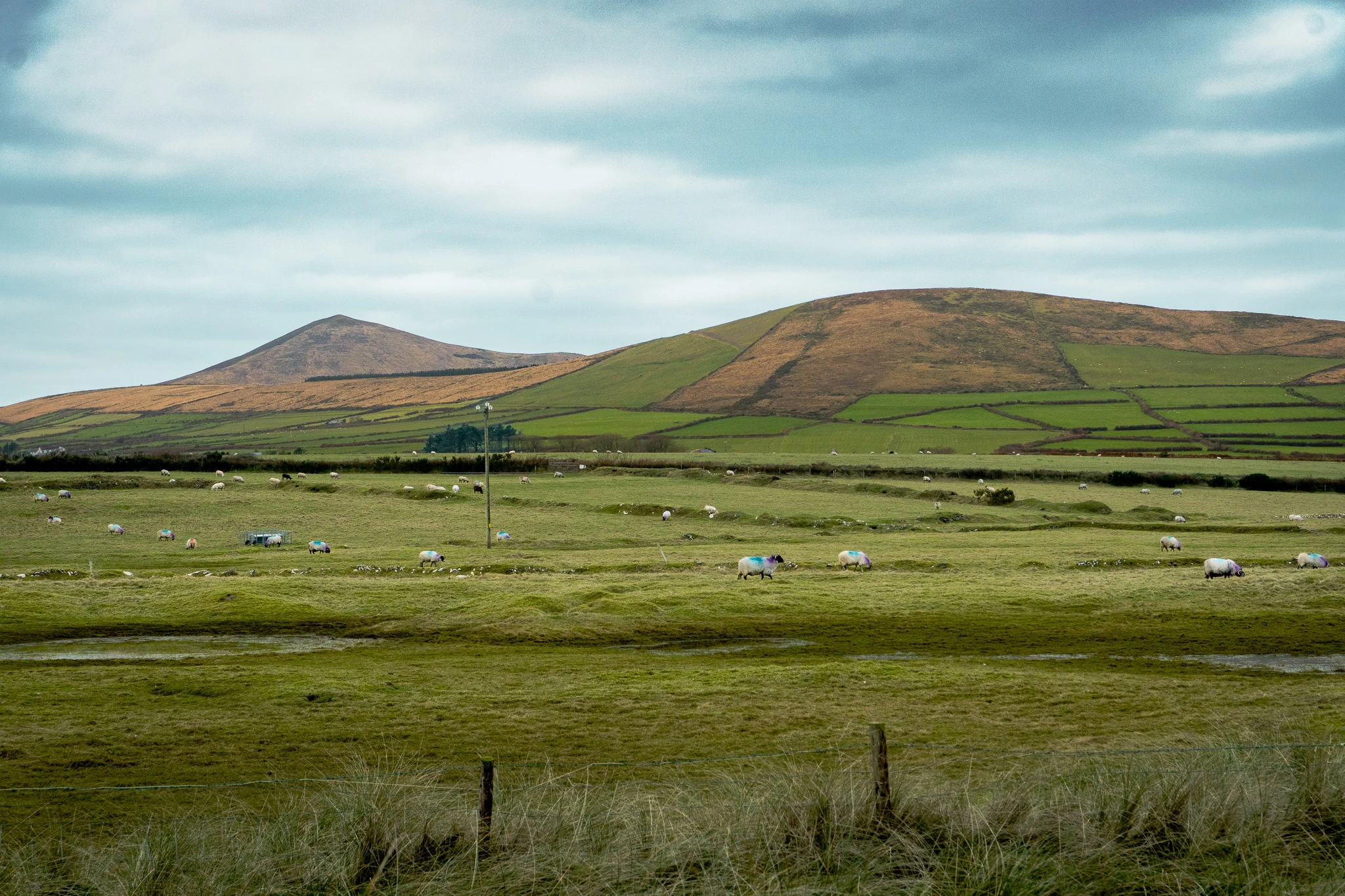 2025 12 29 Family Christmas Malahide1232