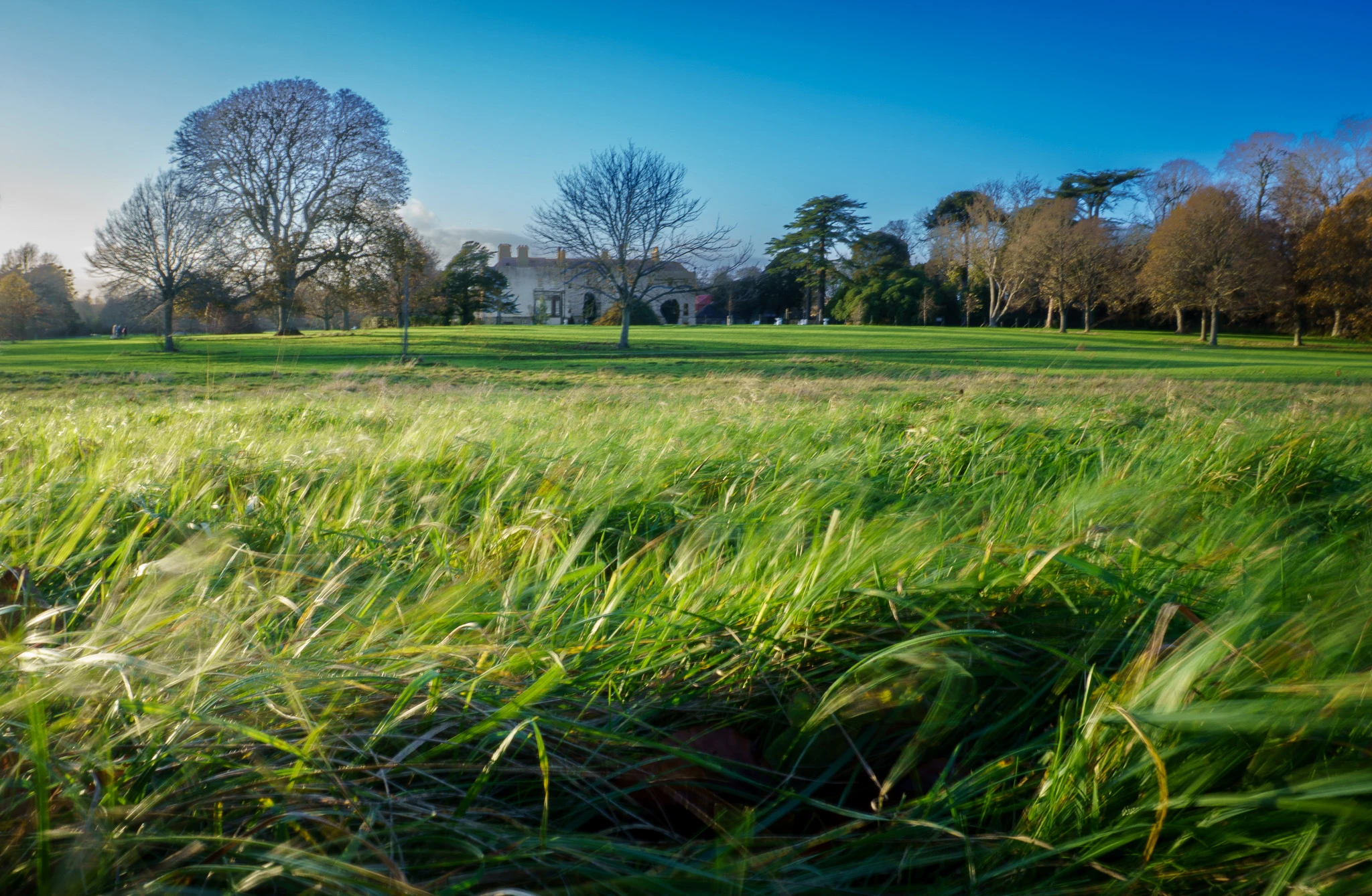 25 11 28 Nature Park Newbridge House386